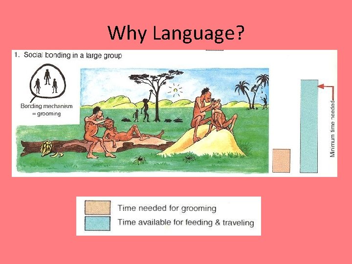 Why Language? 