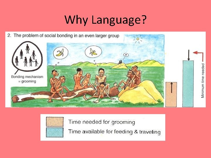 Why Language? 