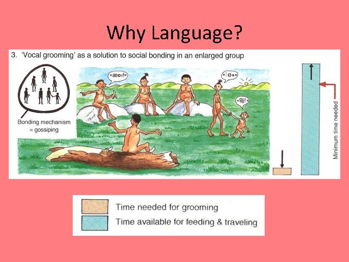 Why Language? 