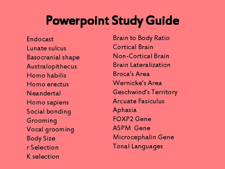 Powerpoint Study Guide Endocast Lunate sulcus Basocranial shape Australopithecus Homo habilis Homo erectus Neandertal