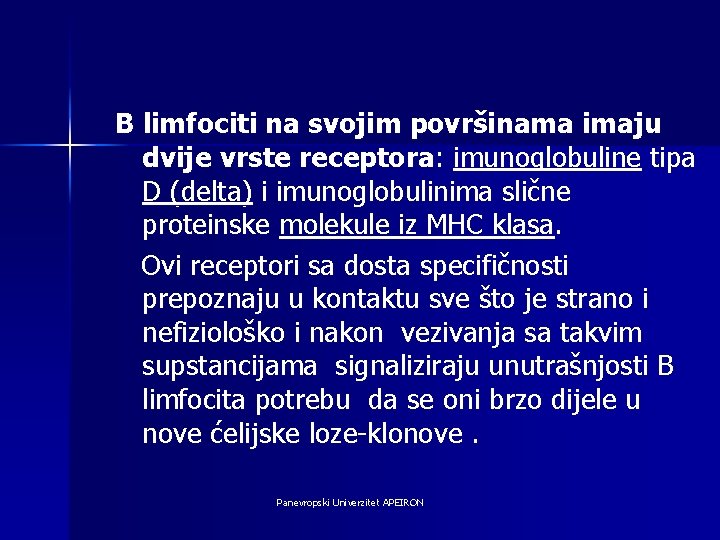 B limfociti na svojim površinama imaju dvije vrste receptora: imunoglobuline tipa D (delta) i