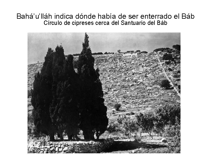 Bahá’u’lláh indica dónde había de ser enterrado el Báb Círculo de cipreses cerca del