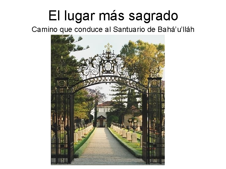 El lugar más sagrado Camino que conduce al Santuario de Bahá’u’lláh 