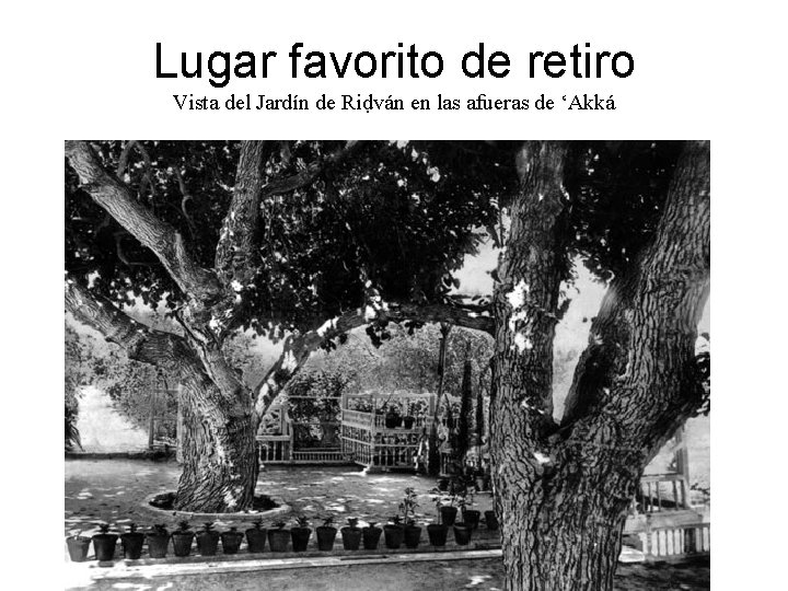 Lugar favorito de retiro Vista del Jardín de Riḍván en las afueras de ‘Akká