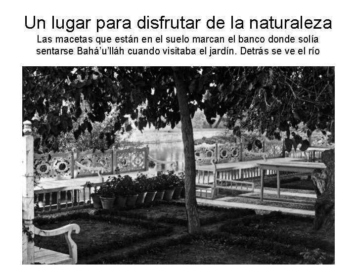 Un lugar para disfrutar de la naturaleza Las macetas que están en el suelo