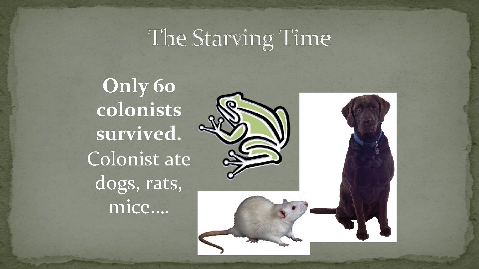 The Starving Time Only 60 colonists survived. Colonist ate dogs, rats, mice…. 