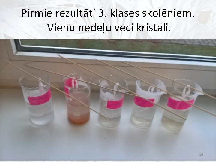 Pirmie rezultāti 3. klases skolēniem. Vienu nedēļu veci kristāli. 10 