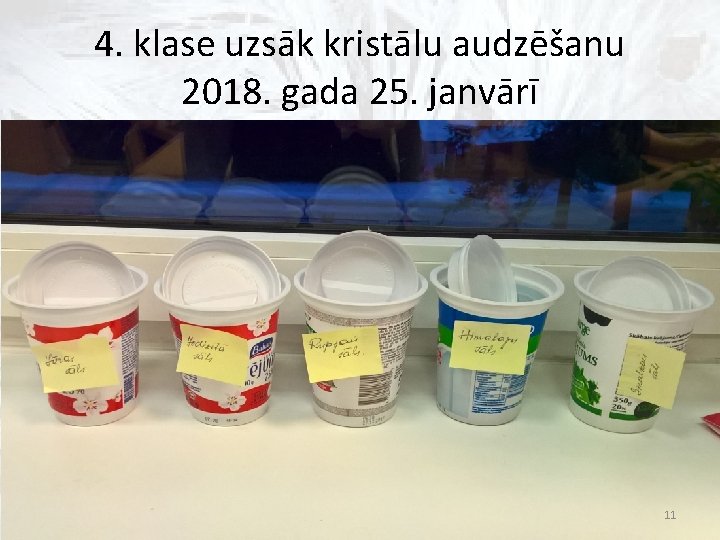 4. klase uzsāk kristālu audzēšanu 2018. gada 25. janvārī 11 