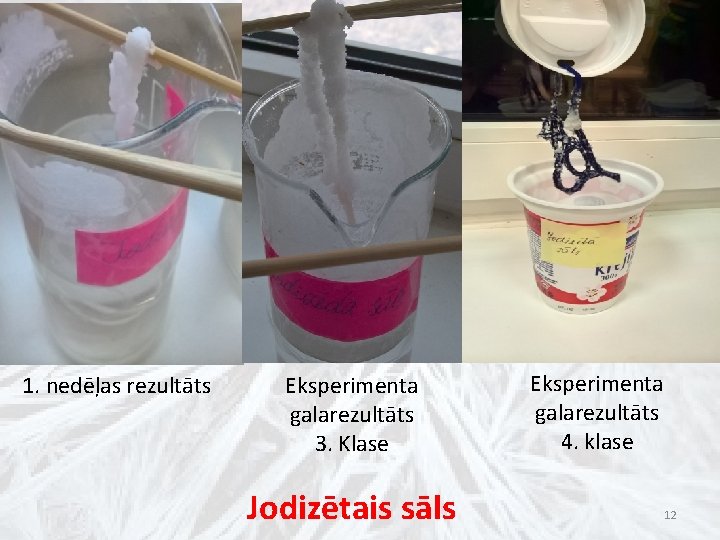 1. nedēļas rezultāts Eksperimenta galarezultāts 3. Klase Jodizētais sāls Eksperimenta galarezultāts 4. klase 12