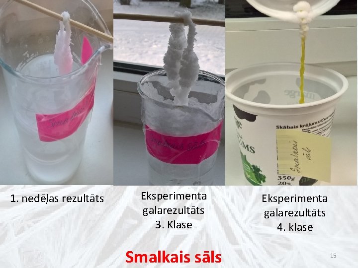 1. nedēļas rezultāts Eksperimenta galarezultāts 3. Klase Smalkais sāls Eksperimenta galarezultāts 4. klase 15