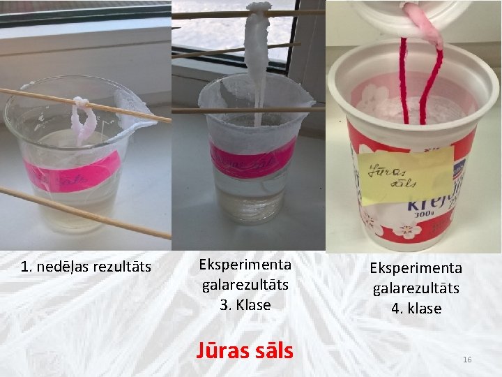 1. nedēļas rezultāts Eksperimenta galarezultāts 3. Klase Jūras sāls Eksperimenta galarezultāts 4. klase 16