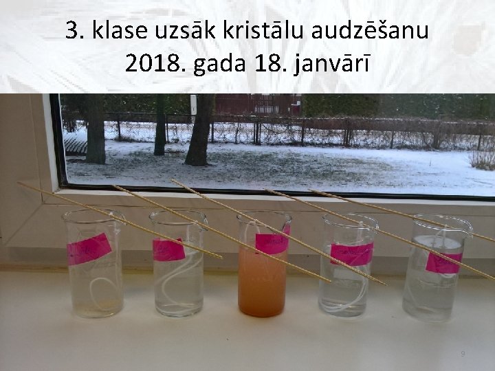 3. klase uzsāk kristālu audzēšanu 2018. gada 18. janvārī 9 