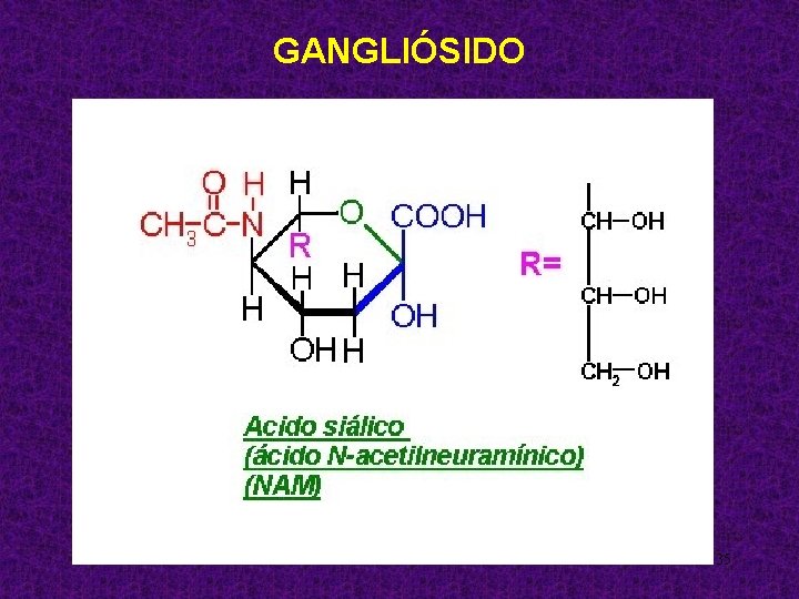 GANGLIÓSIDO 35 