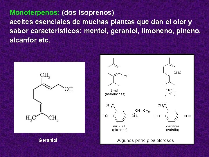 Monoterpenos: (dos isoprenos) aceites esenciales de muchas plantas que dan el olor y sabor