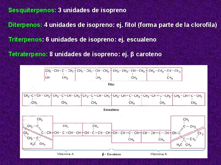 Sesquiterpenos: 3 unidades de isopreno Diterpenos: 4 unidades de isopreno: ej. fitol (forma parte