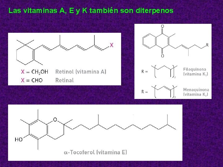 Las vitaminas A, E y K también son diterpenos 