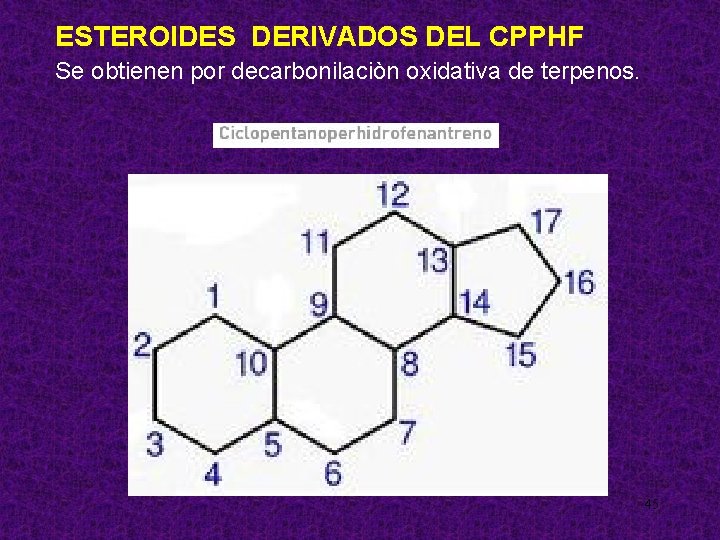 ESTEROIDES DERIVADOS DEL CPPHF Se obtienen por decarbonilaciòn oxidativa de terpenos. 45 