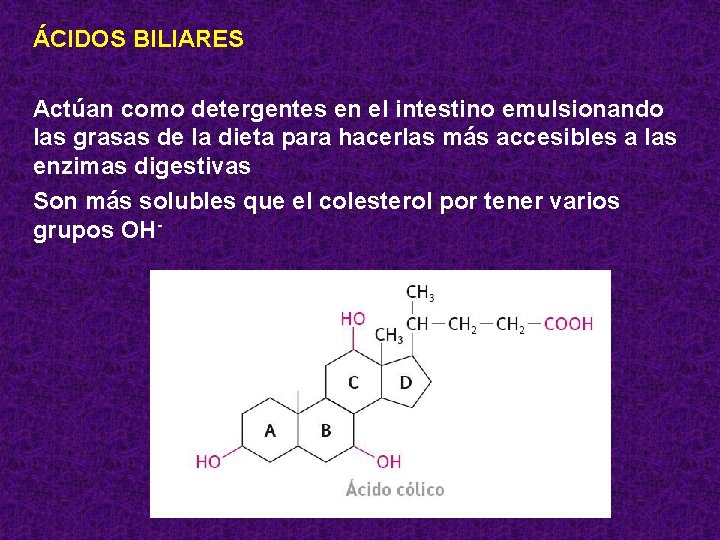 ÁCIDOS BILIARES Actúan como detergentes en el intestino emulsionando las grasas de la dieta