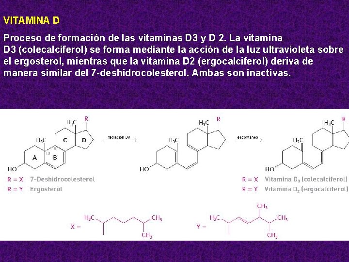 VITAMINA D Proceso de formación de las vitaminas D 3 y D 2. La