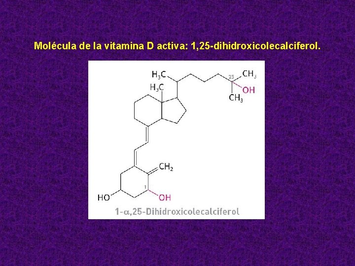 Molécula de la vitamina D activa: 1, 25 -dihidroxicolecalciferol. 