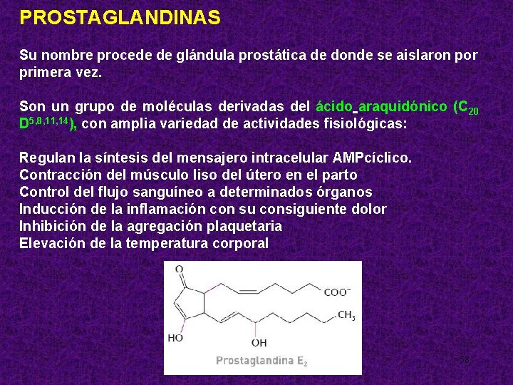 PROSTAGLANDINAS Su nombre procede de glándula prostática de donde se aislaron por primera vez.