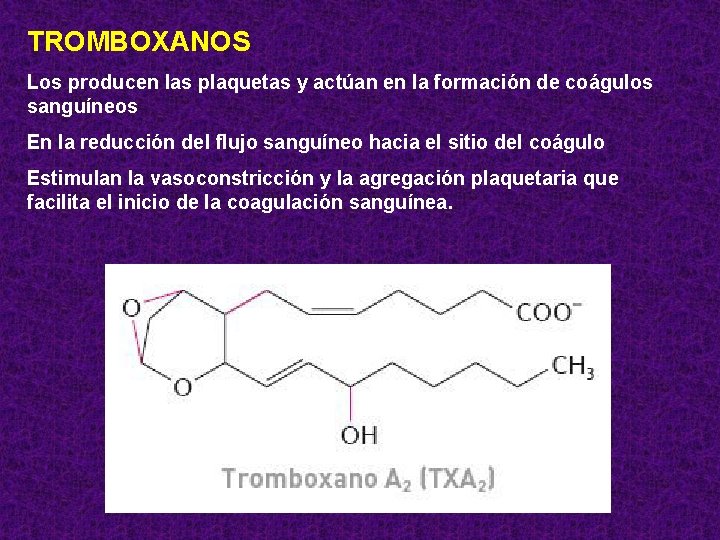TROMBOXANOS Los producen las plaquetas y actúan en la formación de coágulos sanguíneos En