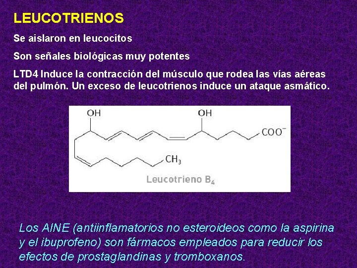 LEUCOTRIENOS Se aislaron en leucocitos Son señales biológicas muy potentes LTD 4 Induce la