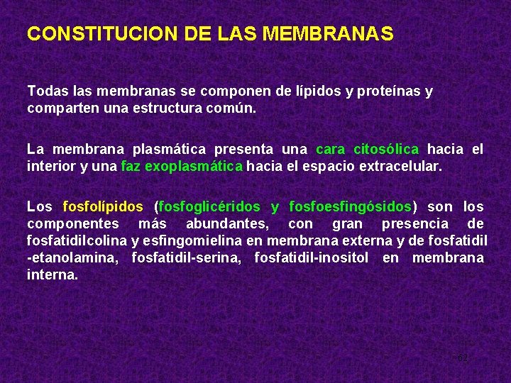 CONSTITUCION DE LAS MEMBRANAS Todas las membranas se componen de lípidos y proteínas y