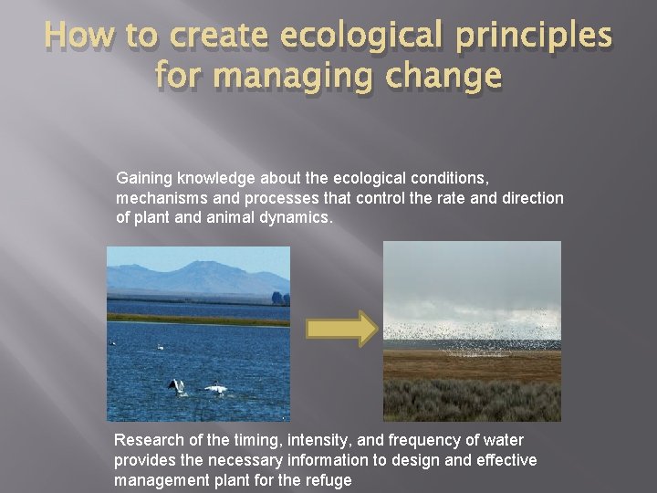 How to create ecological principles for managing change Gaining knowledge about the ecological conditions,