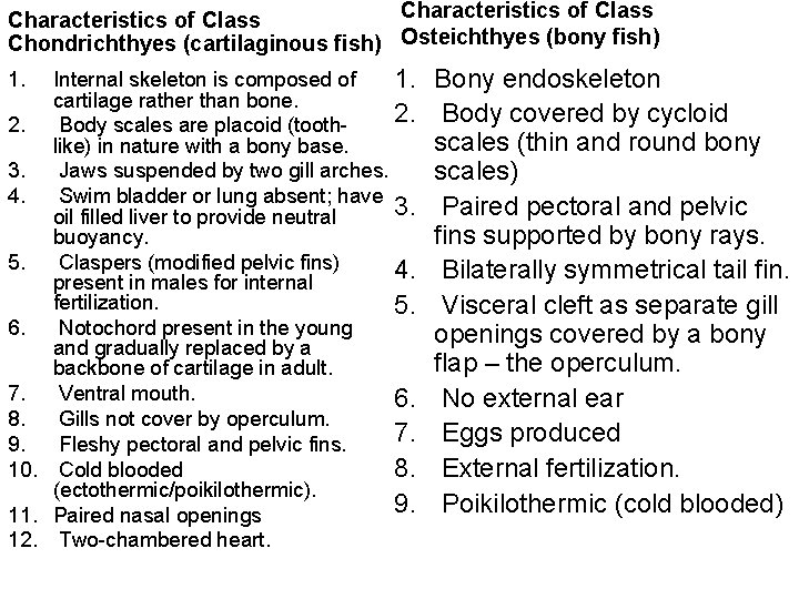 Characteristics of Class Chondrichthyes (cartilaginous fish) Osteichthyes (bony fish) Internal skeleton is composed of