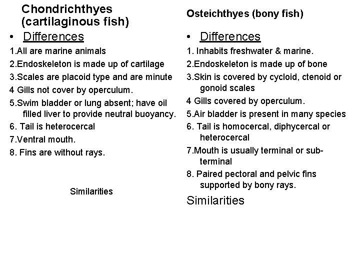 Chondrichthyes (cartilaginous fish) • Differences 1. All are marine animals 2. Endoskeleton is made