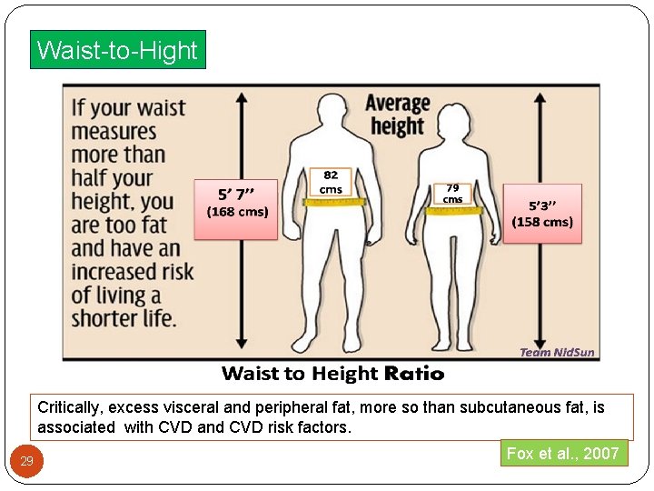Waist-to-Hight Critically, excess visceral and peripheral fat, more so than subcutaneous fat, is associated