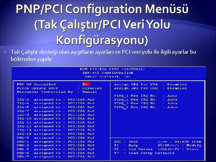  Tak Çalıştır desteği olan aygıtların ayarları ve PCI veri yolu ile ilgili ayarlar