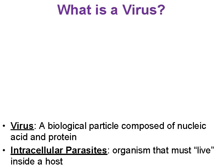 What is a Virus? • Virus: A biological particle composed of nucleic acid and