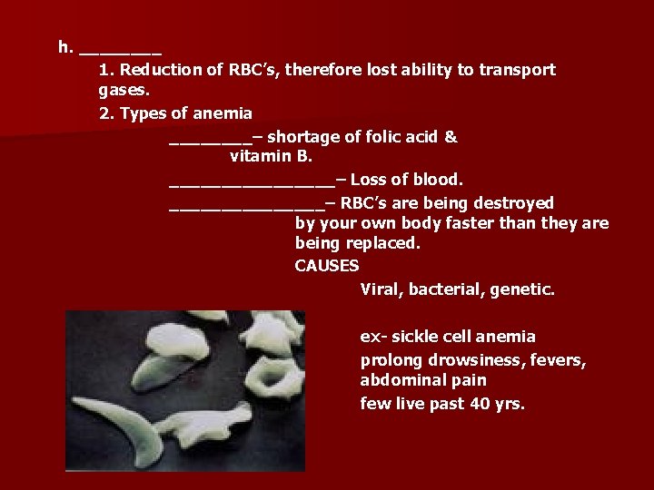 h. ____ 1. Reduction of RBC’s, therefore lost ability to transport gases. 2. Types