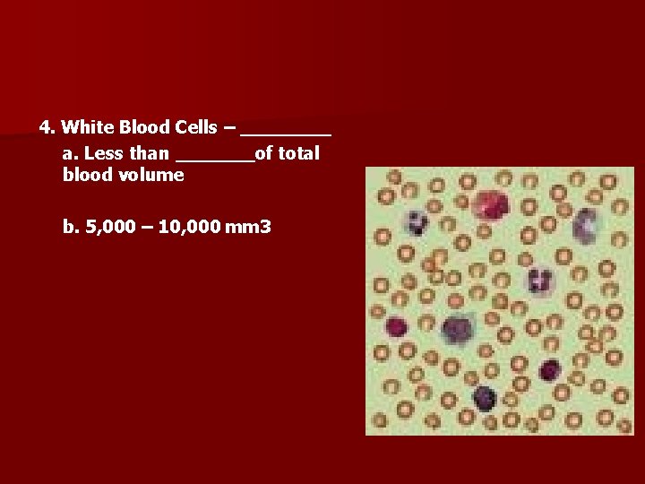 4. White Blood Cells – ____ a. Less than _______of total blood volume b.