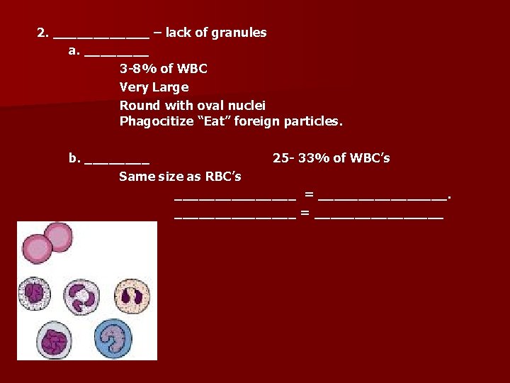 2. ______ – lack of granules a. ____ 3 -8% of WBC Very Large