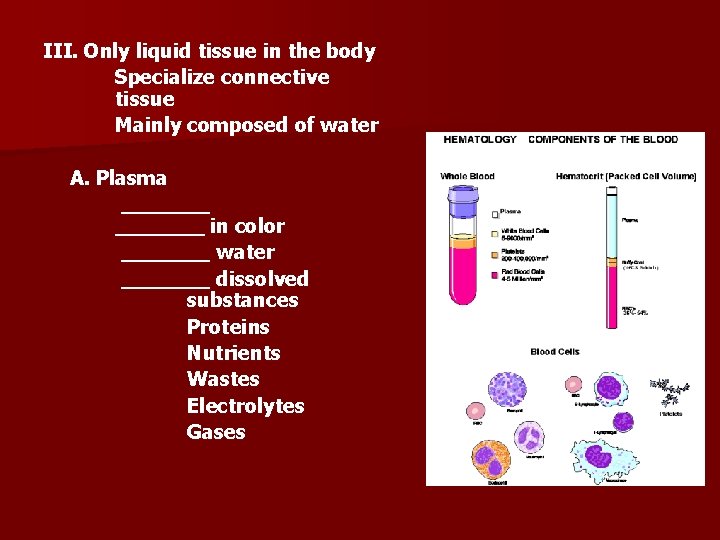 III. Only liquid tissue in the body Specialize connective tissue Mainly composed of water