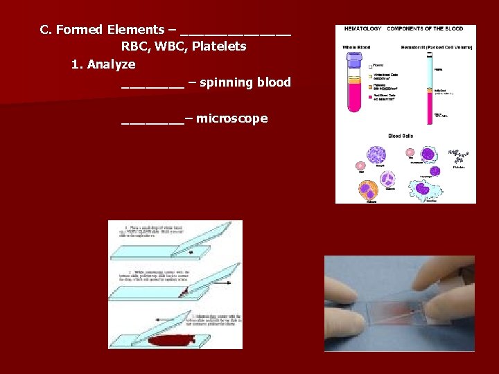 C. Formed Elements – _______ RBC, WBC, Platelets 1. Analyze ____ – spinning blood