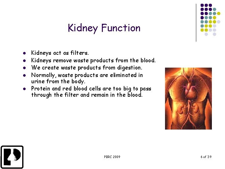 Kidney Function l l l Kidneys act as filters. Kidneys remove waste products from