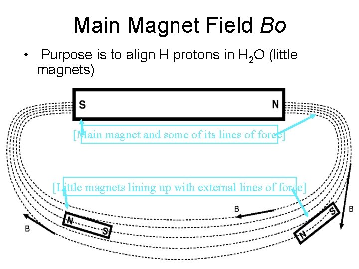 Main Magnet Field Bo • Purpose is to align H protons in H 2