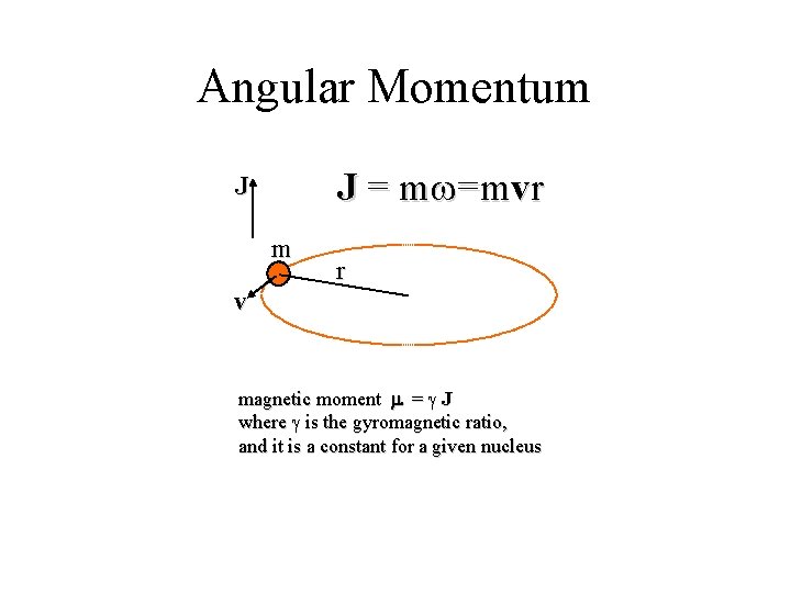 Angular Momentum J = mw=mvr J m r v magnetic moment m = g