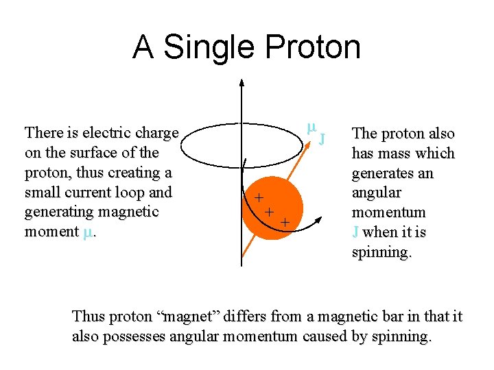 A Single Proton There is electric charge on the surface of the proton, thus