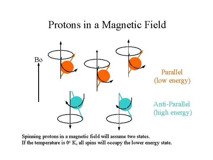 Protons in a Magnetic Field Bo Parallel (low energy) Anti-Parallel (high energy) Spinning protons
