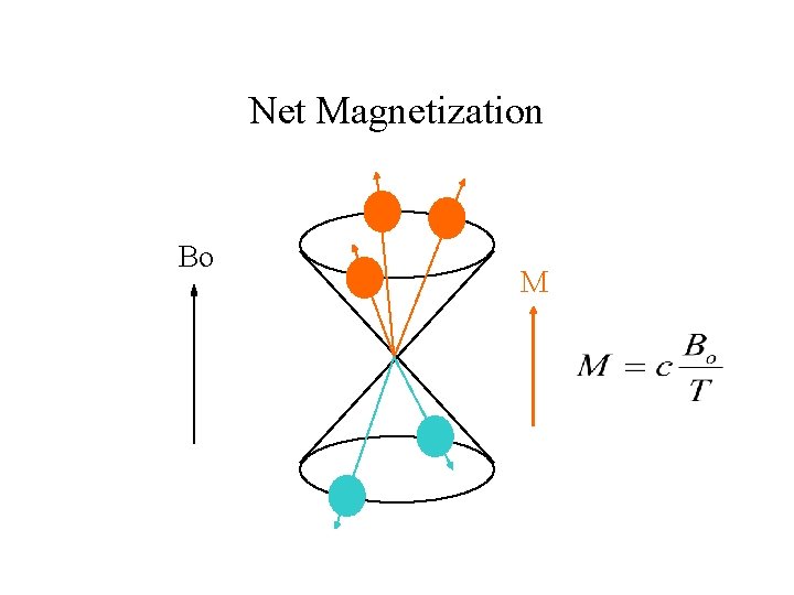Net Magnetization Bo M 