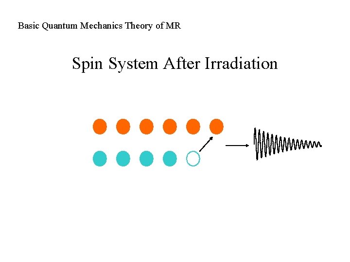 Basic Quantum Mechanics Theory of MR Spin System After Irradiation 