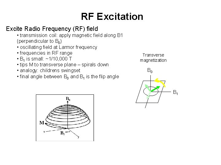 RF Excitation Excite Radio Frequency (RF) field • transmission coil: apply magnetic field along