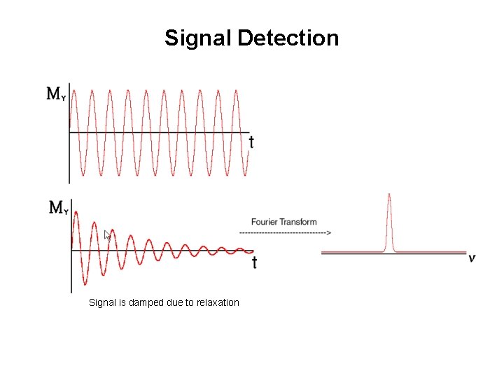 Signal Detection Signal is damped due to relaxation 