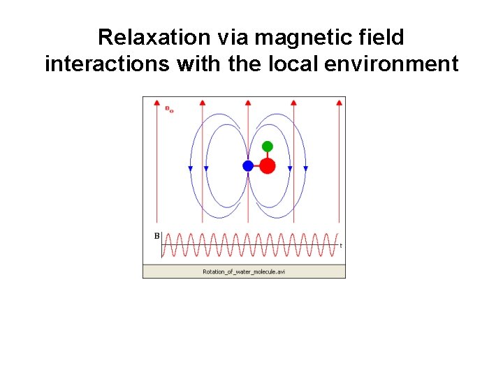 Relaxation via magnetic field interactions with the local environment 