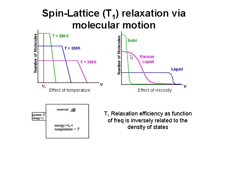 Spin-Lattice (T 1) relaxation via molecular motion Effect of temperature Effect of viscosity T